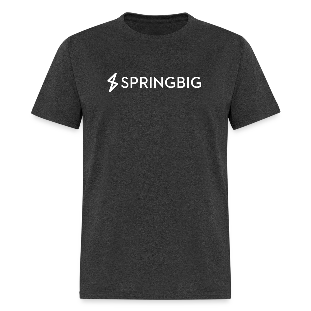 Springbig CORE T-Shirt - heather black