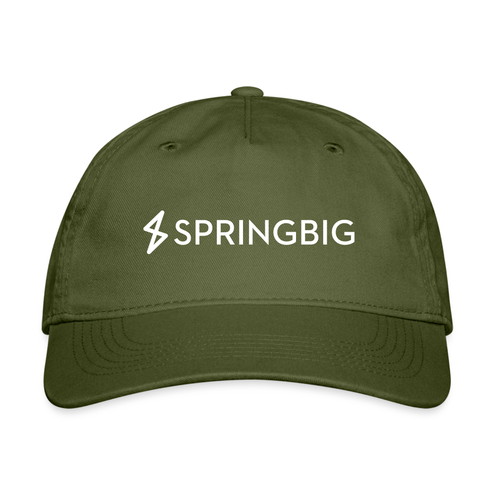Springbig Baseball Cap - olive green
